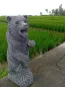 morepic-4